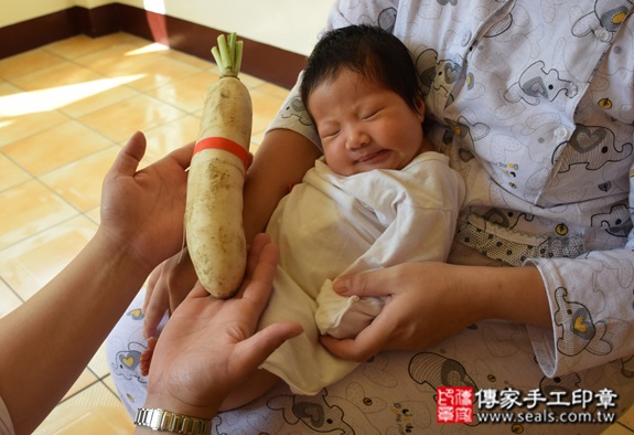 徐寶寶(桃園龍潭區到府嬰兒寶寶滿月剃頭理髮、免費到府嬰兒剃胎毛儀式吉祥話)。到府剃頭剃胎毛主持、專業拍照、DVD光碟、證書。★購買「臍帶章、肚臍章、胎毛筆刷印章」贈送：剃頭、收涎、抓周，三選一。2015.10.24 照片13